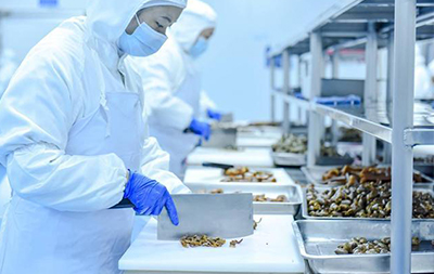 數控折彎機在中央廚房領域的應用